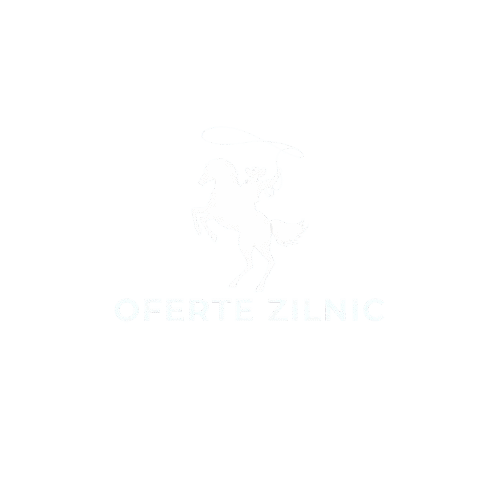 Oferte Zilnic – Magazin Online